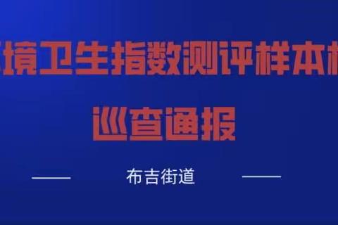 布吉街道环境卫生指数测评样本框巡查通报(11.21）