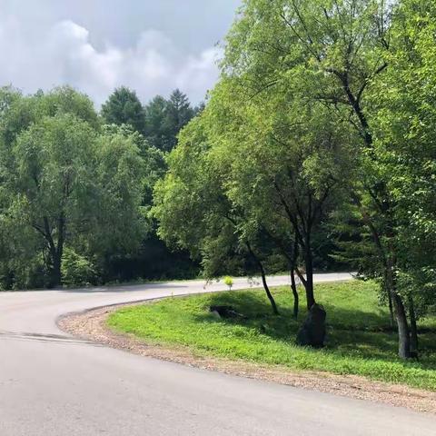 人间有味是清欢