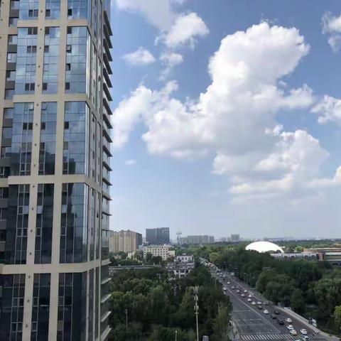 我和我们的泰和龙庭