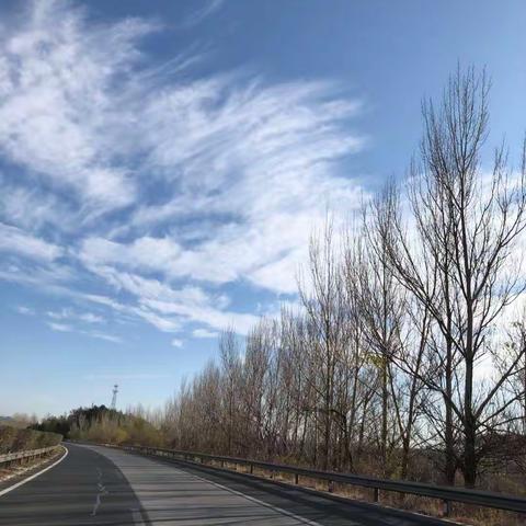 也说乡愁之清原早市篇20171030