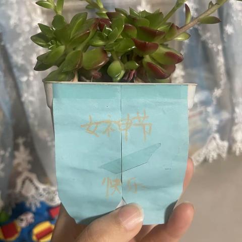 写给我的男孩
