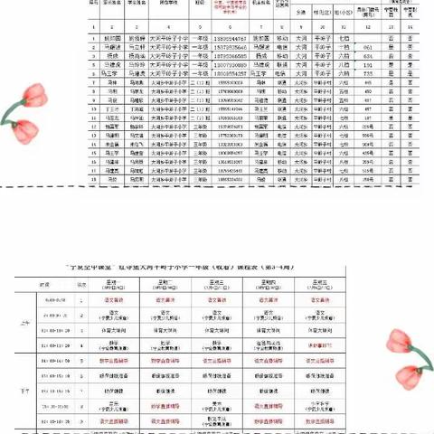 “空中课堂”影响到了“我”（大河平岭子小学）