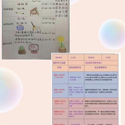 《生态宅·呵护生命》