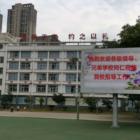 活水源流随处满，东风花柳逐时新——新罗区第17届教育教学开放周调研活动纪实