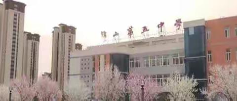 “五心”同聚，温暖“回家”         ——锦山第五中学开学第一课