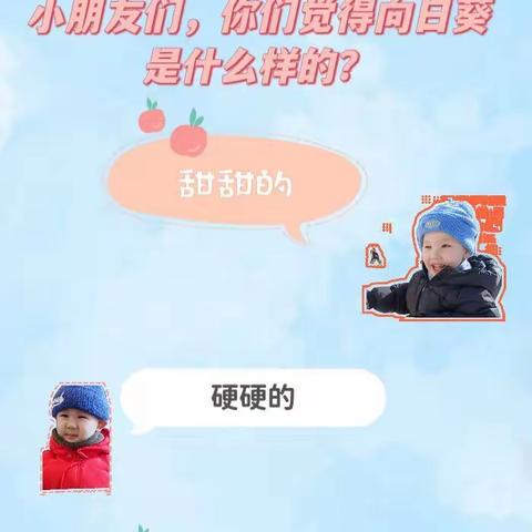 🤔瓜子被叶子嗑了！ 青河镇第一幼儿园小三班植物角探索