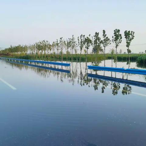 让党旗在防汛救灾一线高高飘扬