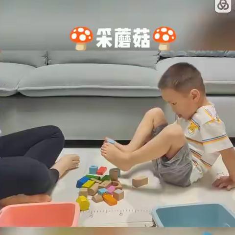 【停课不停学·成长不延期】小海豚幼儿园小班线上亲子体育游戏课：《采蘑菇》