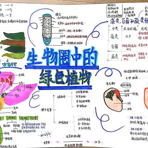 树立优秀榜样     加强作业示范