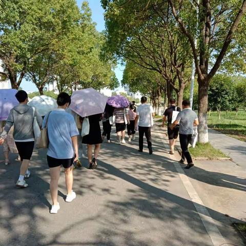 学习不觉已盛夏，培训伴我教师路