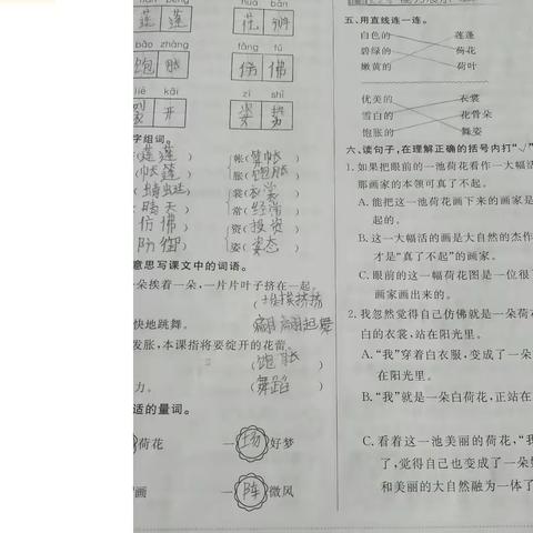 北京少林武术学校三年级（1）班夏新原  微计划 在家学习