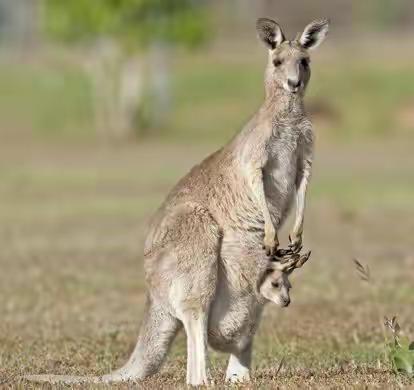 ❤️长大从学习开始💪，💞我要学本领😁