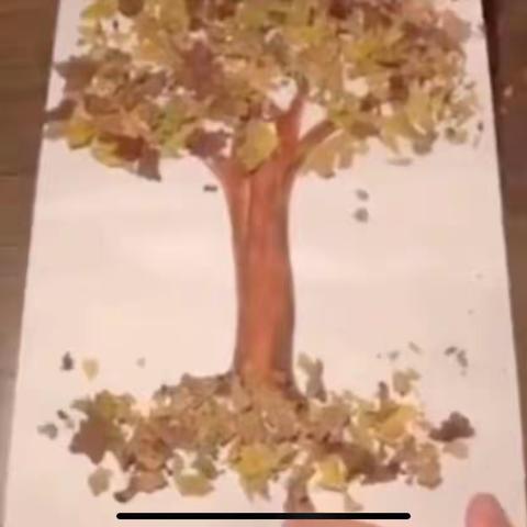 美术《漂亮的小树》