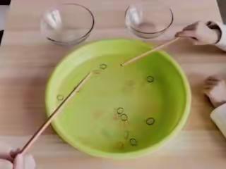 🤗“宅家”😸继续🐶，欢乐不断🌟