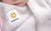 风雨玫瑰的美篇