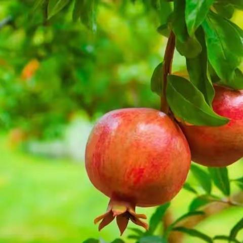 杨正欣的家长15269481035的美篇