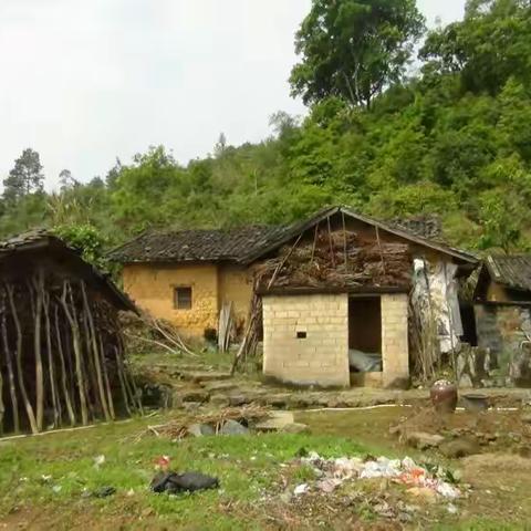 寻访三平礤村文厝革命遗址