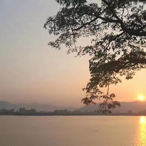 天地育万物，健身贵及时。为家添福气，为国谋大利。——给一群珍惜生命、不懈冬泳的勇士点赞！