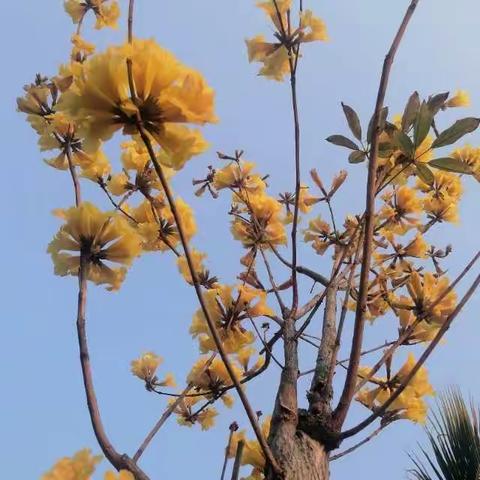 appointment  的美篇