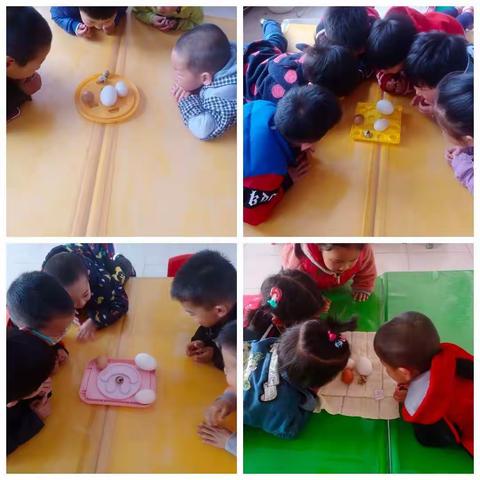 小班宝宝一周精彩回顾