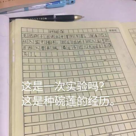 习作点评：我做了一个小实验