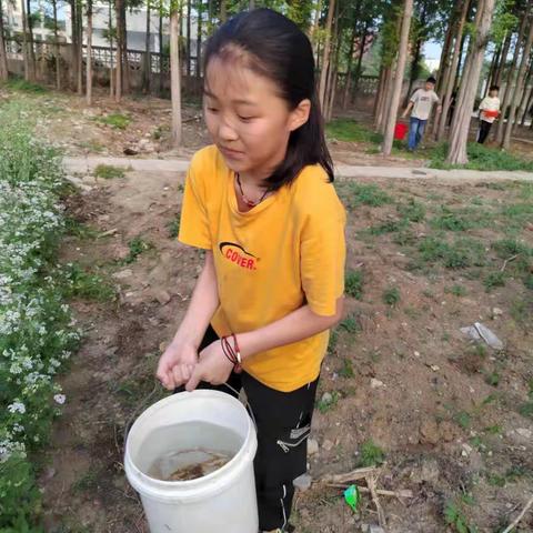 凤台十中小学部五年级组——劳动最快乐