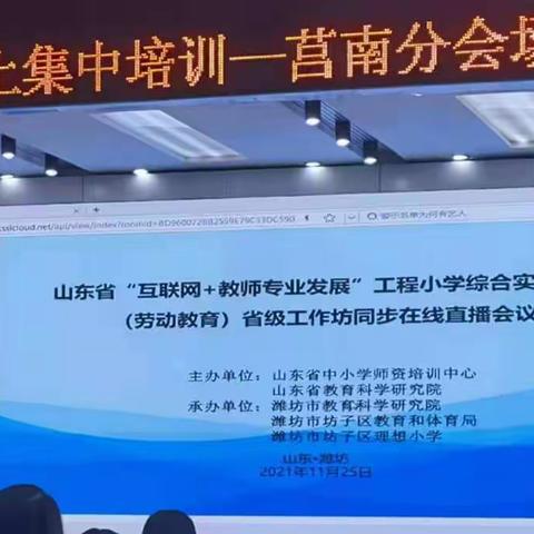 学习不止，砥砺前行——小学综合实践活动学科教师线上集中培训