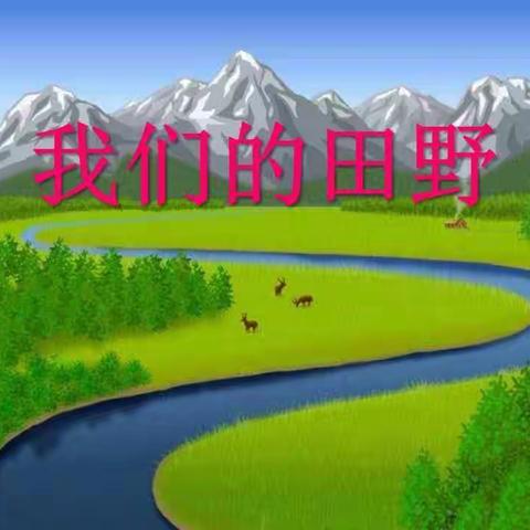 四年级歌曲《我们的田野》