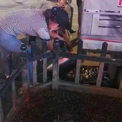 乱倒泔水的不文明行为，你怎么看