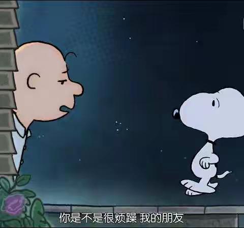 不慌张🌼