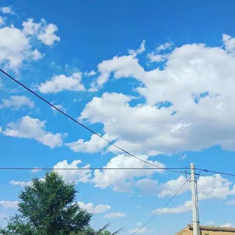 电影🎦