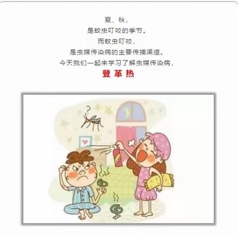 金盆幼儿园预防登革热宣传小知识