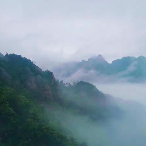 雨中黄山行