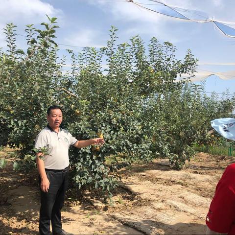 抗旱-持续进行中