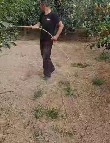 加强日常管理 持续提质利己