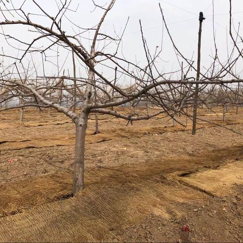 春天辛勤的耕作 只为秋天的收获