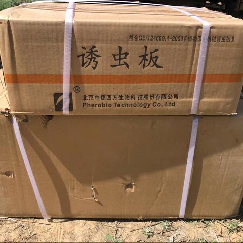 物理防控  示范带动