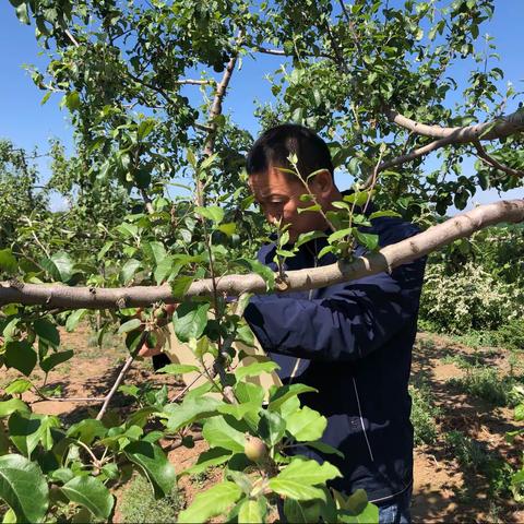 助农  我们在行动