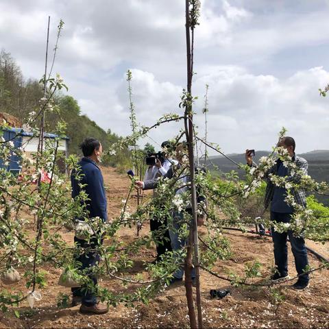 实地调研 精抓细管