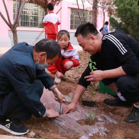 甘肃省永靖县四局小学五年级同学快乐农场进行式:搂地，施肥，撒种，浇水，等待发芽，开花，结果。