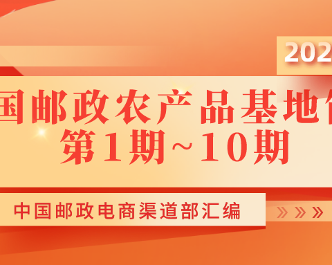 基地简讯（1~10期）