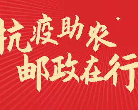 战疫情，保发展，中国邮政在行动