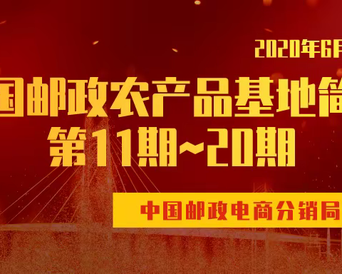 基地简讯（11~20期）