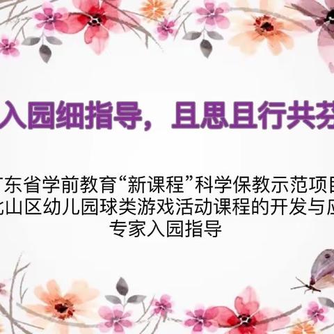 专家入园细指导，且思且行共芬芳————广东省学前教育“新课程”幼儿园科学保教示范项目专家入园指导活动