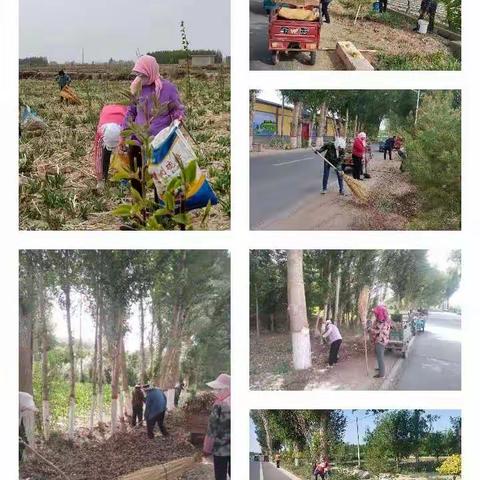 温柔的谎言的美篇