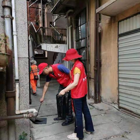 展志愿风采，创文明城市——玉兴街道广文社区开展创文固卫志愿服务活动