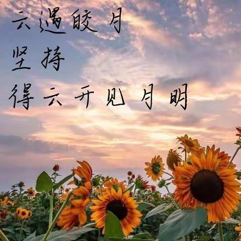 扬帆起航后 遇风雨 梦不停！