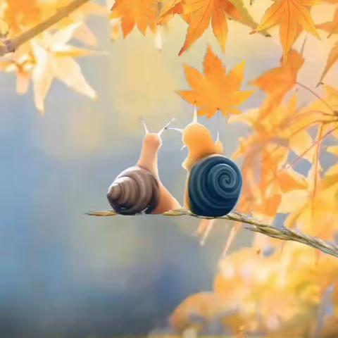 寻找秋天最后一片叶子