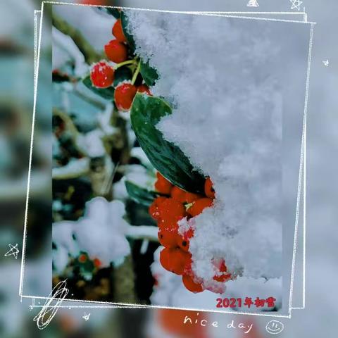 「信德物业」物业清雪      情暖业主