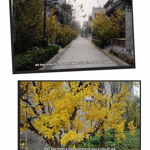 信德物业十月份工作简报